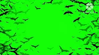chambadur GREEN SCREEN | NO COPYRIGHT | 100% COPYRIGHT FREE
