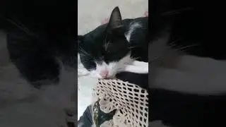 owwwwww😍😍😍