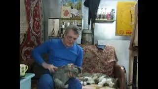 Обновка для модников и модниц. Сегодня 3 года как пришла Гайка.