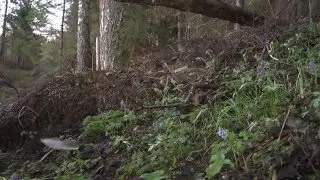 Охотничья весна в России!!!