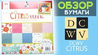 Бумага для скрапбукинга DCWV - Citrus / scrapbooking