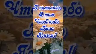 Я не хочу чудес...