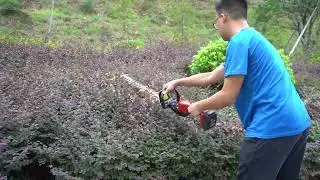 Plug-in type hedge trimmer new energy garden tool #nplus #tools