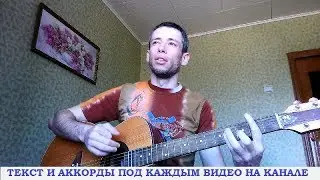 Виктор Столбов - Волк (гитара, кавер дд)