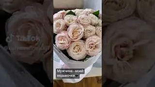 мальчик да ну её н🤬 с таким характером, мужчина - моей ведьмочке🧚‍♀️