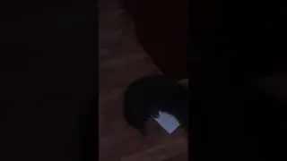 Мэри и кошачья травка