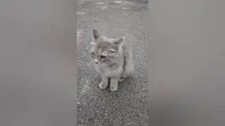 будни канала