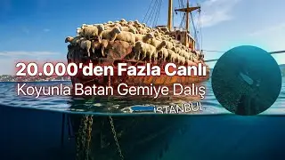 Boğaz'da 20 Binden Fazla Koyun İle Batan Gemiye Dalış!  Aralık 2024