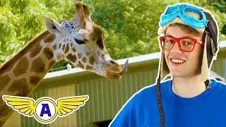 Captain Ace Zoomy Goes To The Zoo And Learns About Animals - Learn Colors and Spelling + Songs
