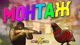 [CS:GO] МОНТАЖ l Убийца ботов