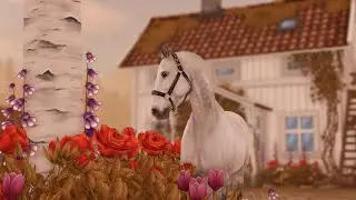МИНИ-ШОРТС - 