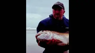#fishing #snapper #90milebeach #surfcasting