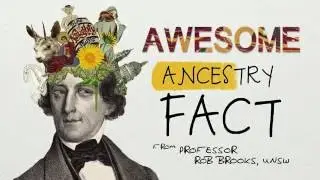 How many female ancestors do we all have?