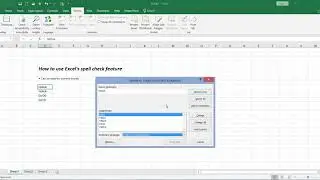 How to use Excel’s Spell Check feature