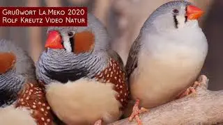 LaMeko 2020 Rolf Kreutz Grußwort