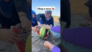 Обед в поле 🍉