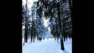 Лазутинка парк в Одинцово