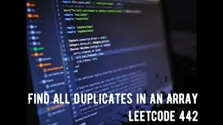 Find All Duplicates in an Array   Leetcode 442   Java Brute Force
