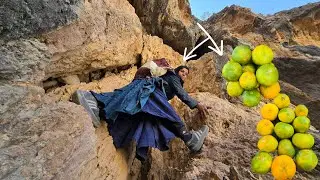Esmat Picking Wild Oranges in the Zagros Mountains 🍊🏔️