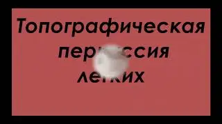 Сравнительная и топографическая перкуссия легких