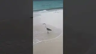 Мне этот Мир уже абсолютно понятен 