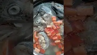 уха своими руками в первый раз