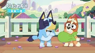 全新一季💙【