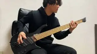 Darko US - Insects  ||  Breakdown Bass Cover