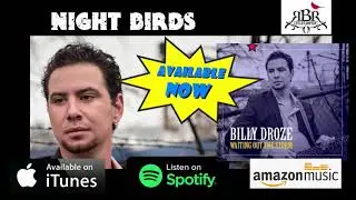 Night Birds teaser