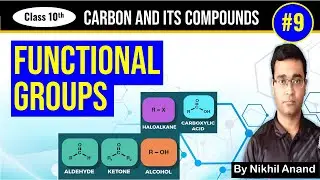 Functional Groups | Halo | Alcohol | Aldehyde | Ketone | Carboxylic Acid | Std 10 Science Chap 4 Pt9