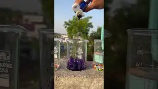Orbeez in Ujala Liquid - Shocking Results | 