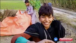 Village life working in Pakistan|How to live in village|Jungle Gaoon|Tractor and machinery