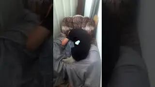 друг моего брата псина.