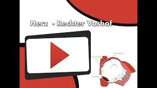 Herz   - Rechter Vorhof clipdocs.de
