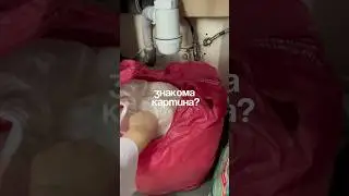 Шоппер-WB арт 18298714 