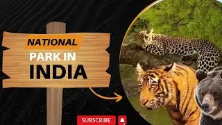 Top 10 National parks in india #nationalpark #forest #wildlife #trending