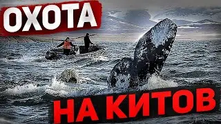 Whale hunting \ Охота на китов \ Гарпун \ Разговор с ученым \  Пробую мясо кита \ Косторезы \   #3