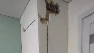 УСТАНОВКА РОЗЕТОК и Монтаж ЭЛЕКТРОПРОВОДКИ при ремонте на кухне. Перенос розеток в home
