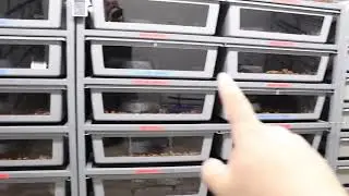 Quick update on what’s popping this season!