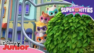 Super-quiz | SuperKattungar | Disney Junior Sverige