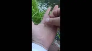Егорка из деревни в прямом эфире!