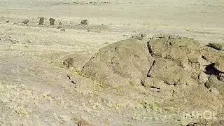 Chukar Shotkam Compilation - 2021-2022