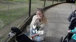 Poprvé v Safari parku! | VLOG