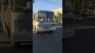 паз на 3 реклама RED