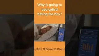 Why is going to bed called "hitting the hay"?