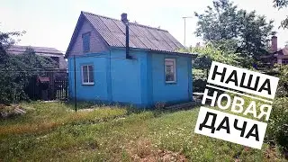 У НАС НОВАЯ ДАЧА/ ОБЗОР/ КУПИЛ САДОВЫЙ ТРИММЕР