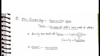 Tricks.... Scientific name of pest of paddy for ICAR JRF,,IBPS,and Rajasthan senior lecturer etc