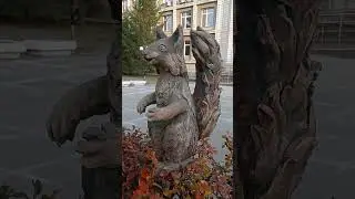 белки на живой изгороди