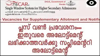 +1 Supplementary Allotment