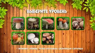 Грибы. Учим грибы. Малыш учит. Играем вместе. Игрушки и игры с детьми.